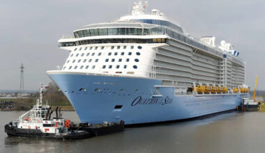 Royal Caribbean Ship Arrives in Alaska with Dead Endangered Whale on Its Bow