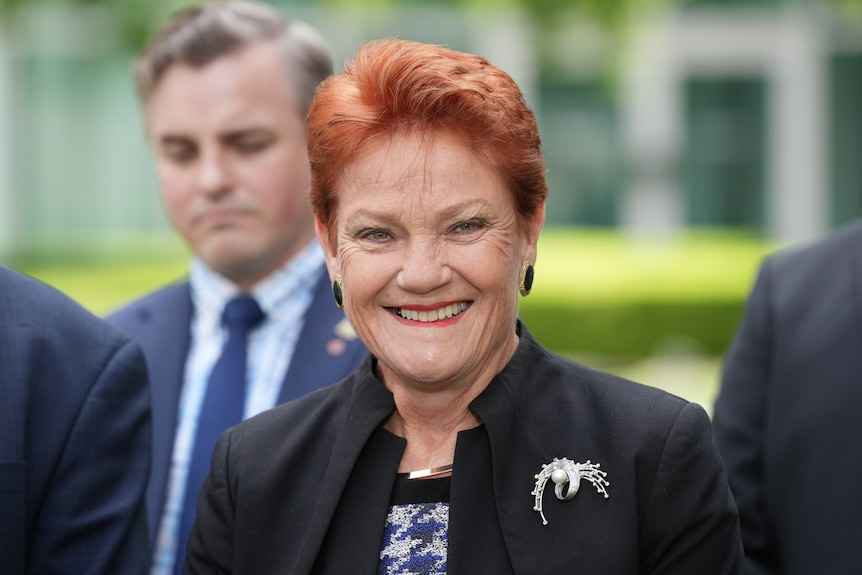 One Nation, Pauline Hanson