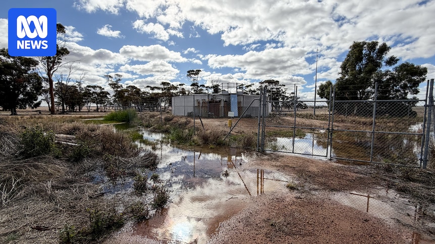 Water Corp defends response to leaks and sewage spills amid flood of complaints