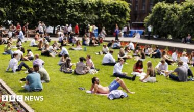 A large group of people sunbathing in a park.