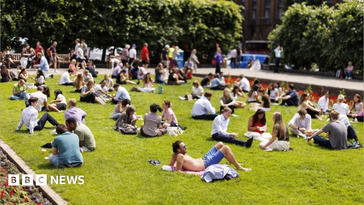 A large group of people sunbathing in a park.