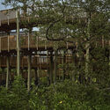 © Monica Barreneche Ecopark Ciénaga de Mallorquín / DEB + El Equipo Mazzanti - Image 5 of 26