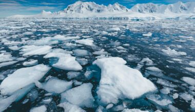 How waves, ponds and green algae are accelerating sea ice melt in Antarctica