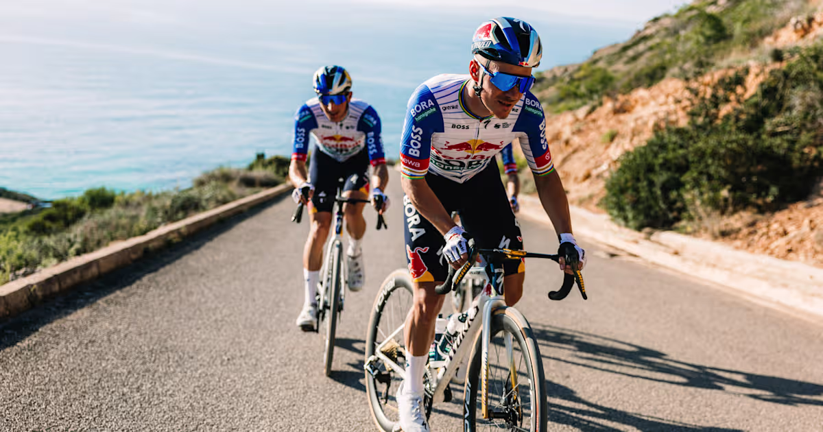 Evenepoel and Lipowitz on the road to the Tour de France