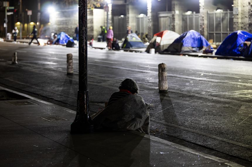Tents of homeless people are seen on a sidewalk on February 14, 2026 in Los Angeles.