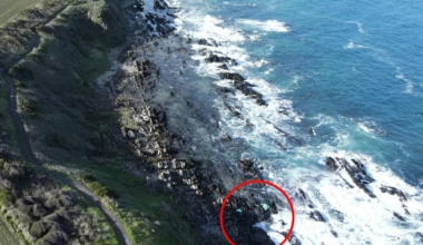 Discovery off headland highlights growing problem plaguing Australia's oceans: 'Massive'