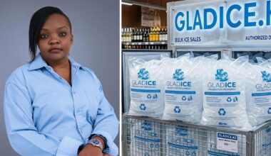 How a Kenyan entrepreneur turned ice cubes into a six-figure monthly business