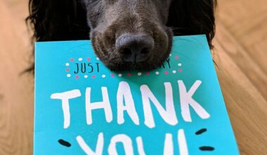 What We Get Wrong About Thanking Others