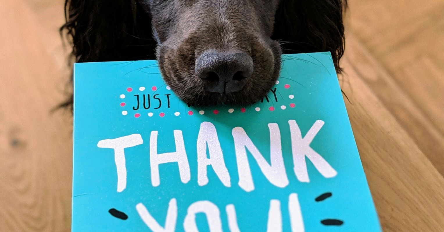 What We Get Wrong About Thanking Others