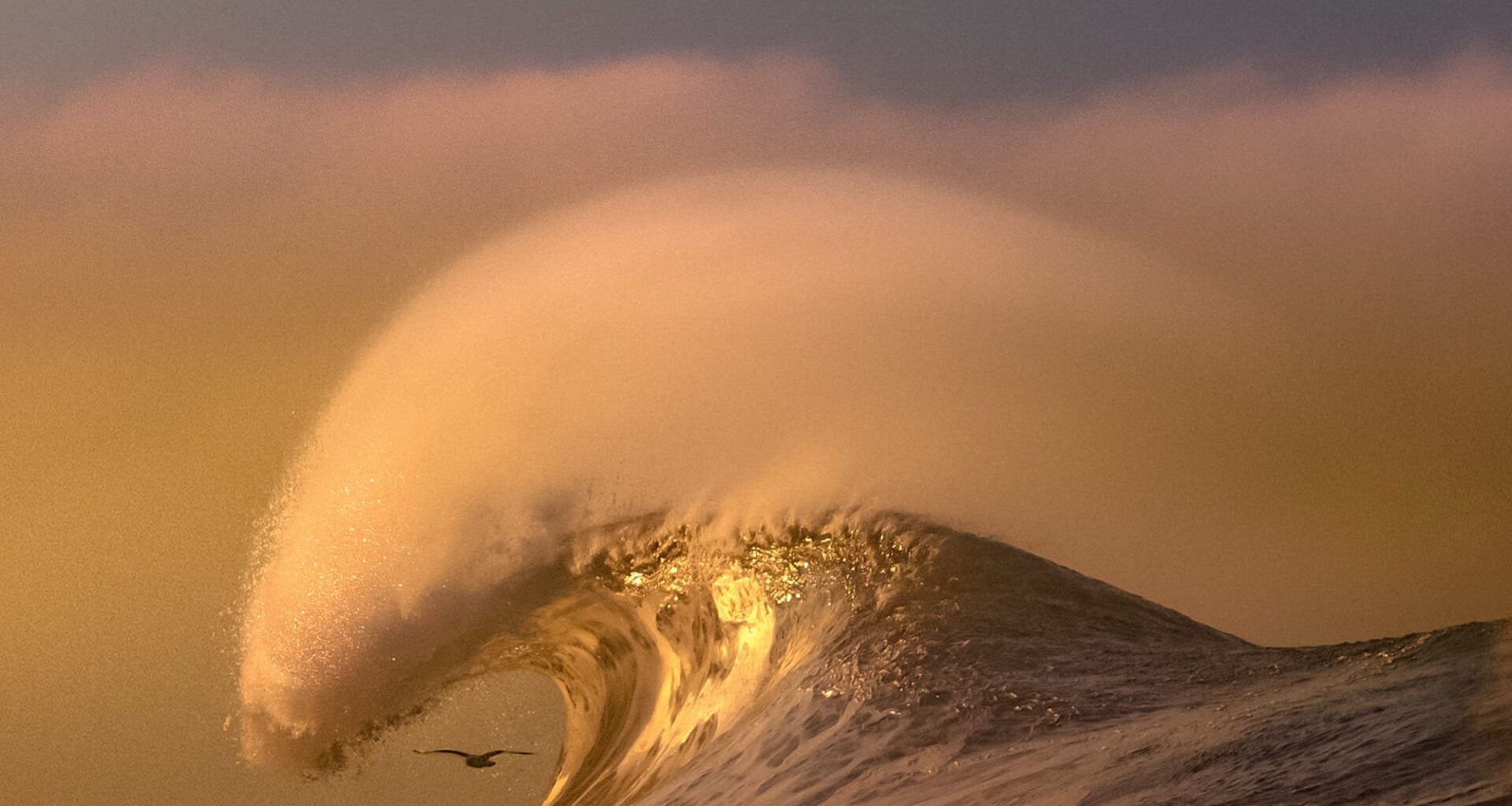 Pacific Surf Takes Center Stage in Craig Hubbard's Dreamy Photos — Colossal