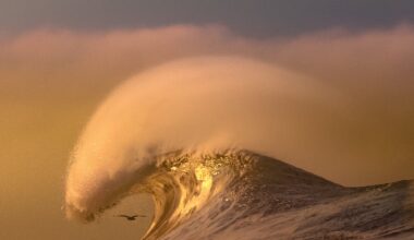 Pacific Surf Takes Center Stage in Craig Hubbard's Dreamy Photos — Colossal
