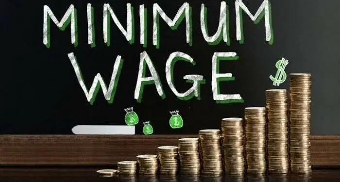 Private sector faults N100,000 minimum wage proposal