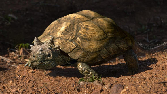 An artist’s impression of Patagoniaemys aeschyli. Image credit: Nawel Vazquez / Museo Argentino de Ciencias Naturales ‘Bernardino Rivadavia’ / CONICET.