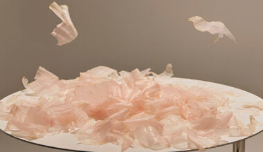 floating shaved bonito flakes shape a kinetic display system