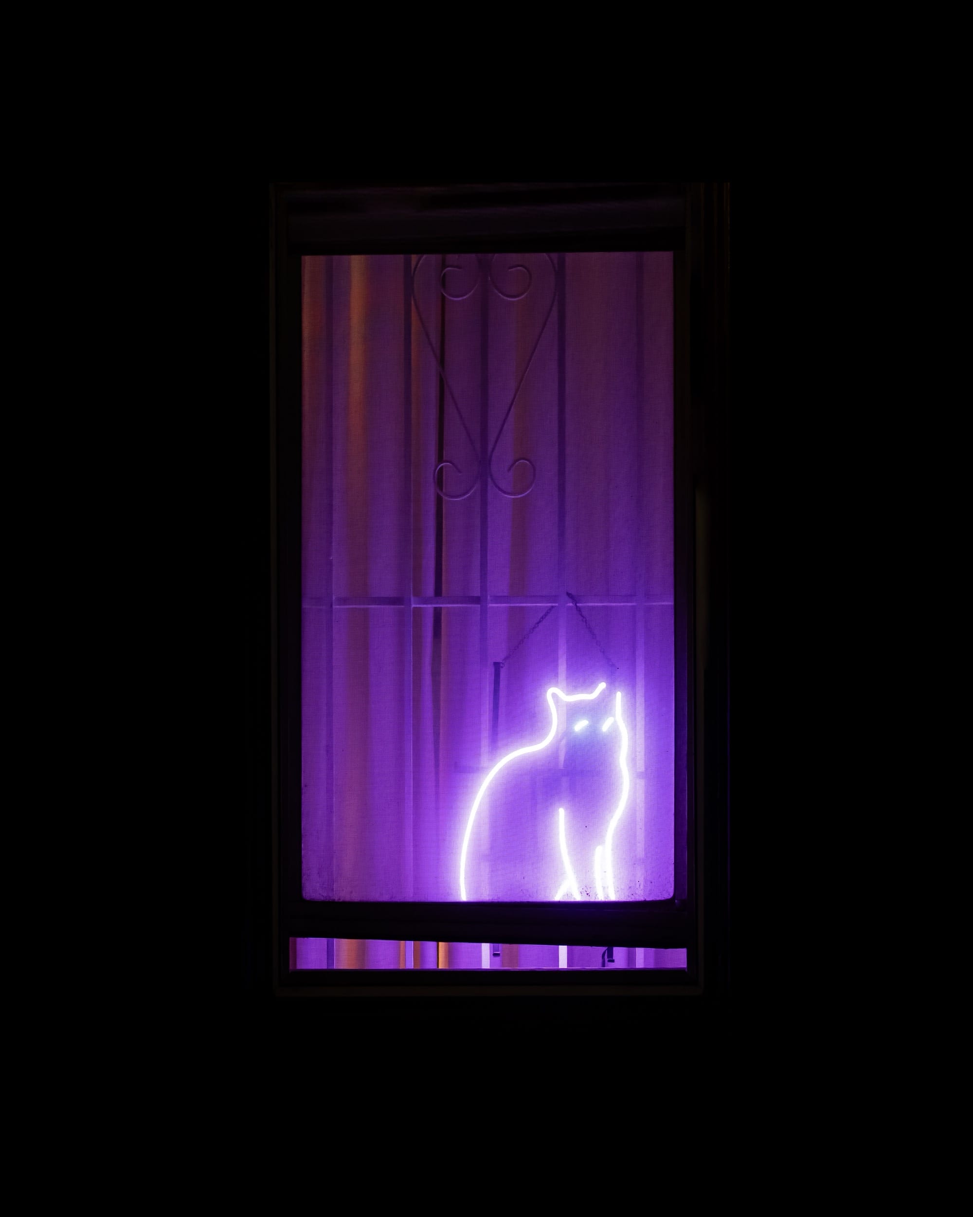 a photograph of an illuminated apartment window in New York City with an illuminated cat sign