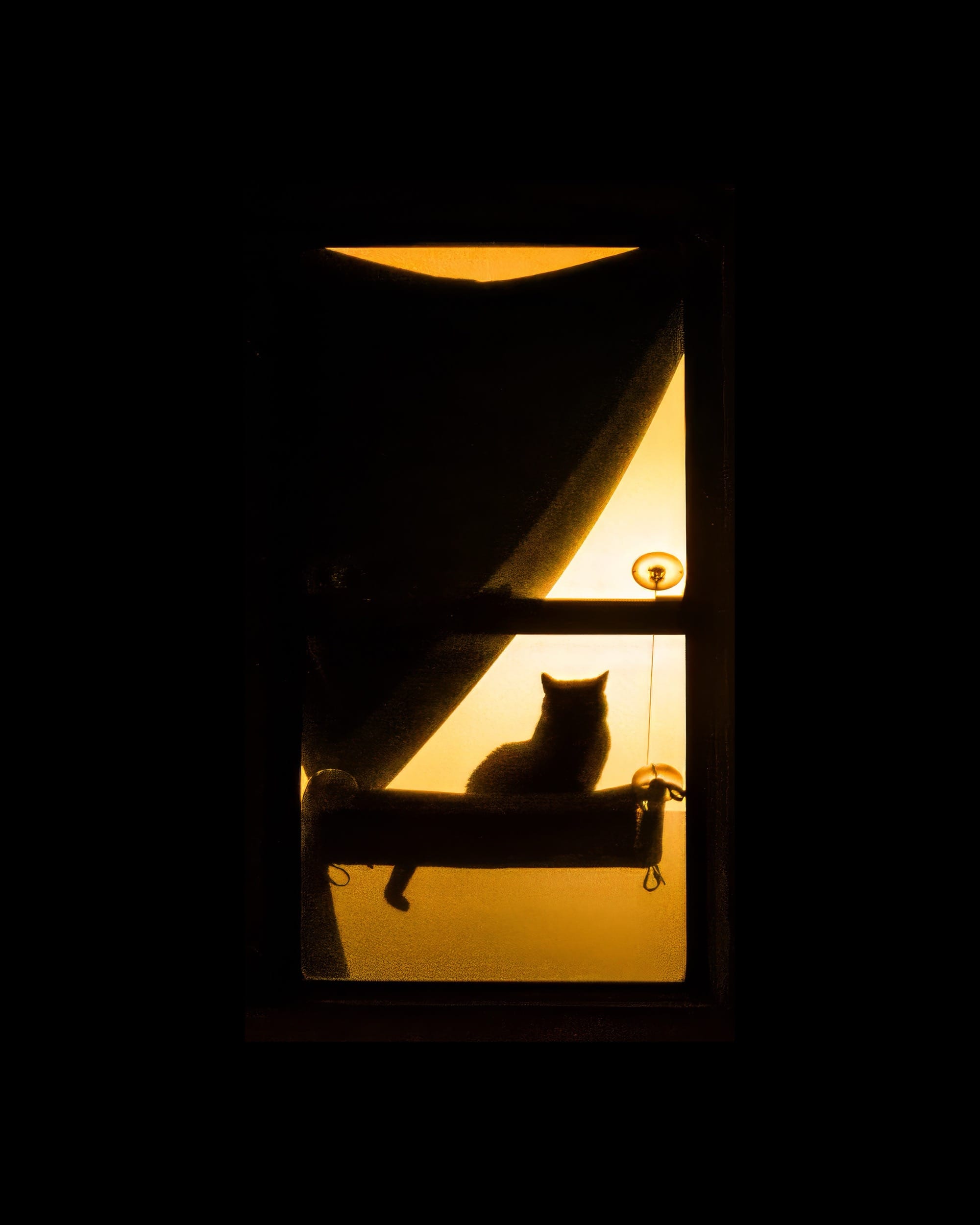 a photograph of an illuminated apartment window in New York City with a cat sitting in the window