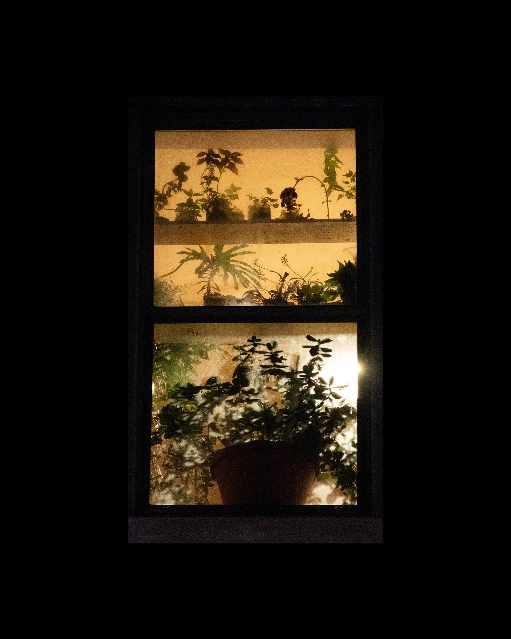 a photograph of an illuminated apartment window in New York City