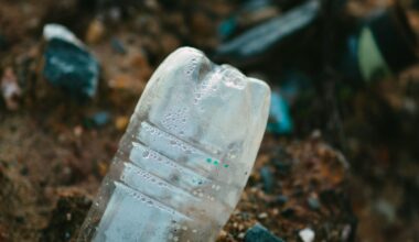 Is a Common Plastic to Blame for Anxiety?