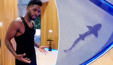 Jason Derulo faces backlash over $1M shark tank in his California home