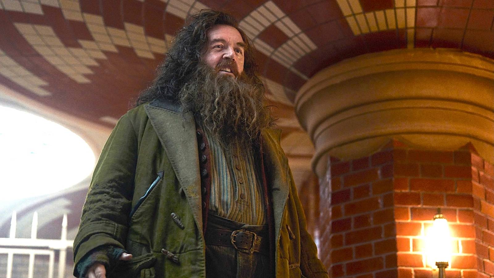 'Harry Potter' Reboot Star Confirms One Major Change to Beloved Character