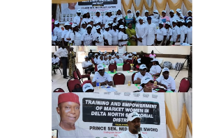 Ned Nwoko empowers 500 Delta women, youths with grants, POS machines