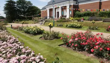 Offensive graffiti daubed in Whitby park | YorkMix