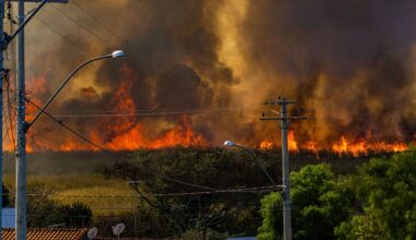 When the Smoke Clears | Psychology Today United Kingdom