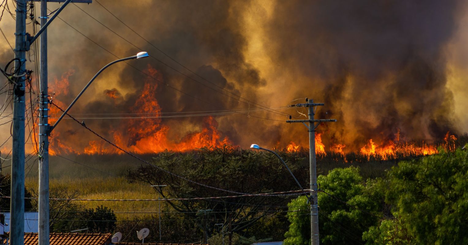 When the Smoke Clears | Psychology Today United Kingdom