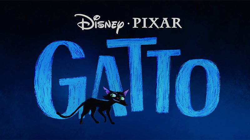 Gatto Teaser