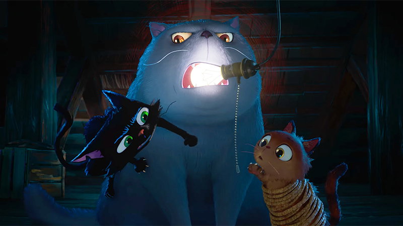 Gatto Teaser