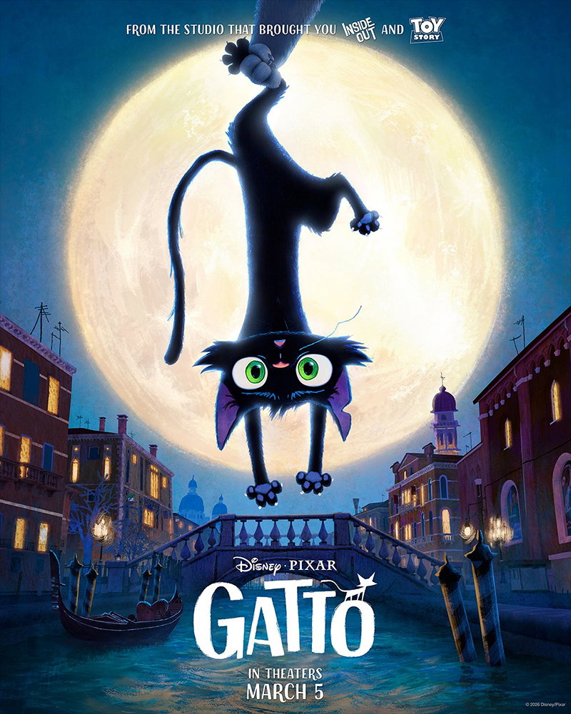 Gatto Teaser