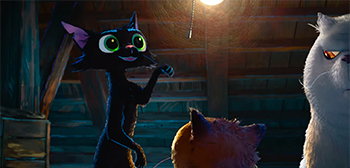Gatto Teaser