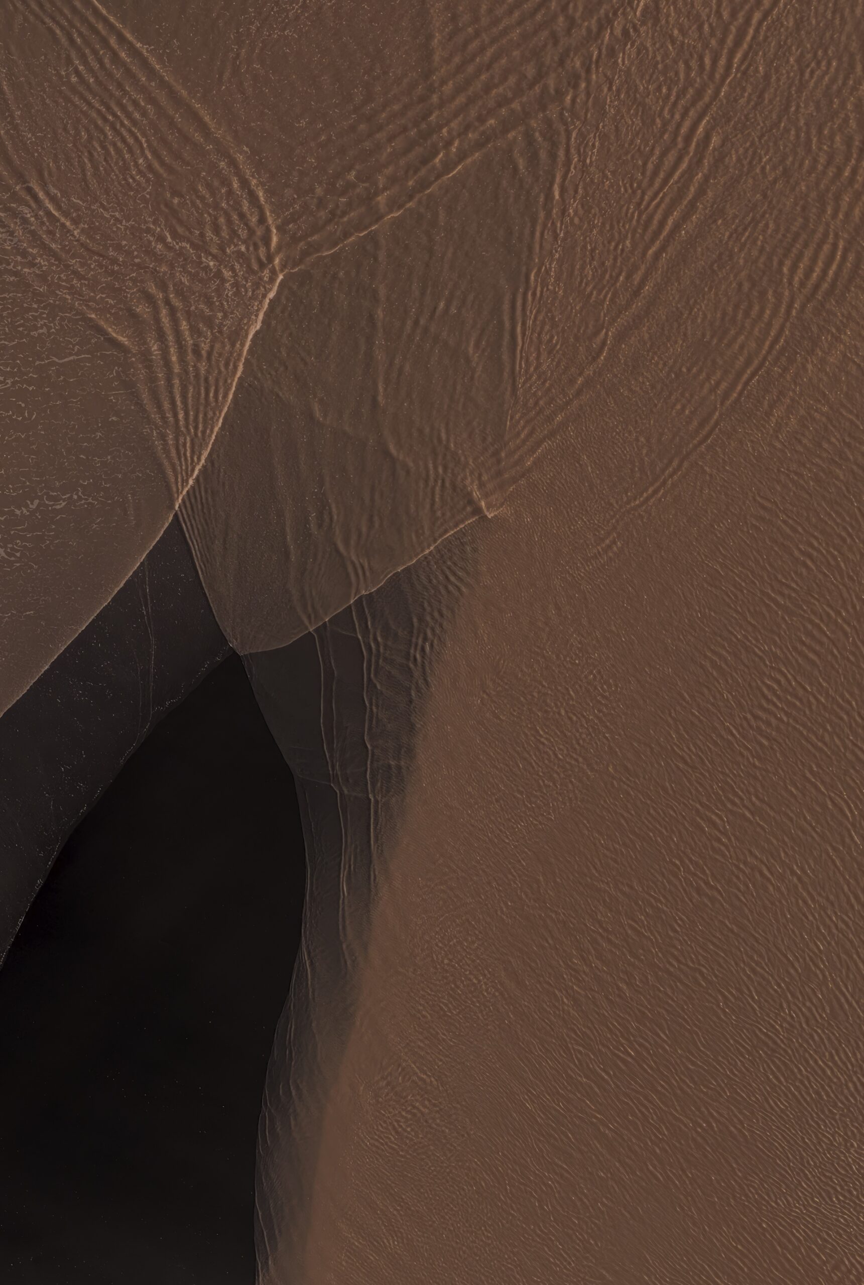 pixel 11 pro wallpaper beige