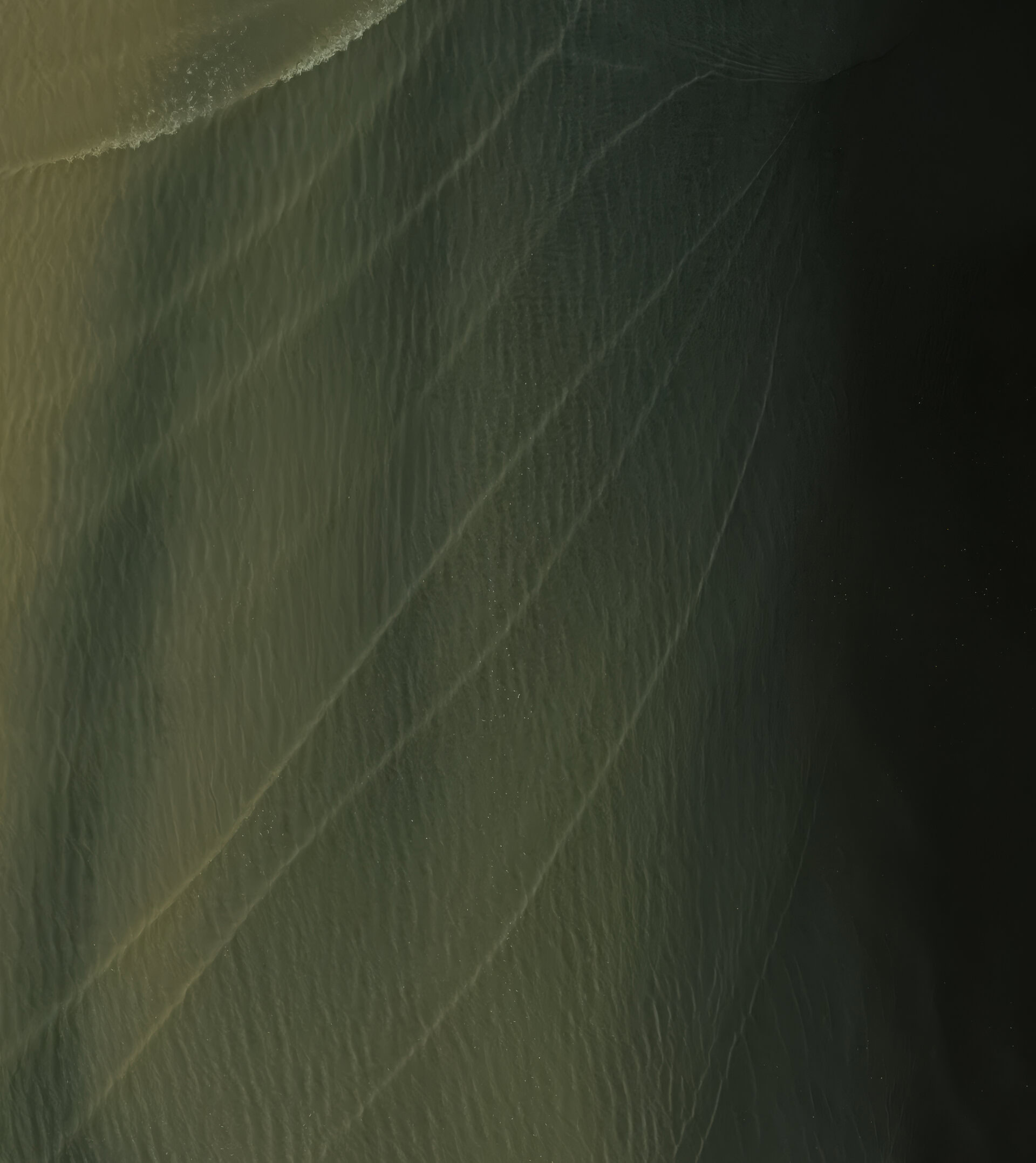 pixel 11 wallpaper ml Moss Dark