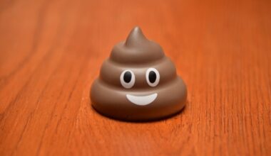 The Poop Emoji Got Gravity Right, Physicists Find