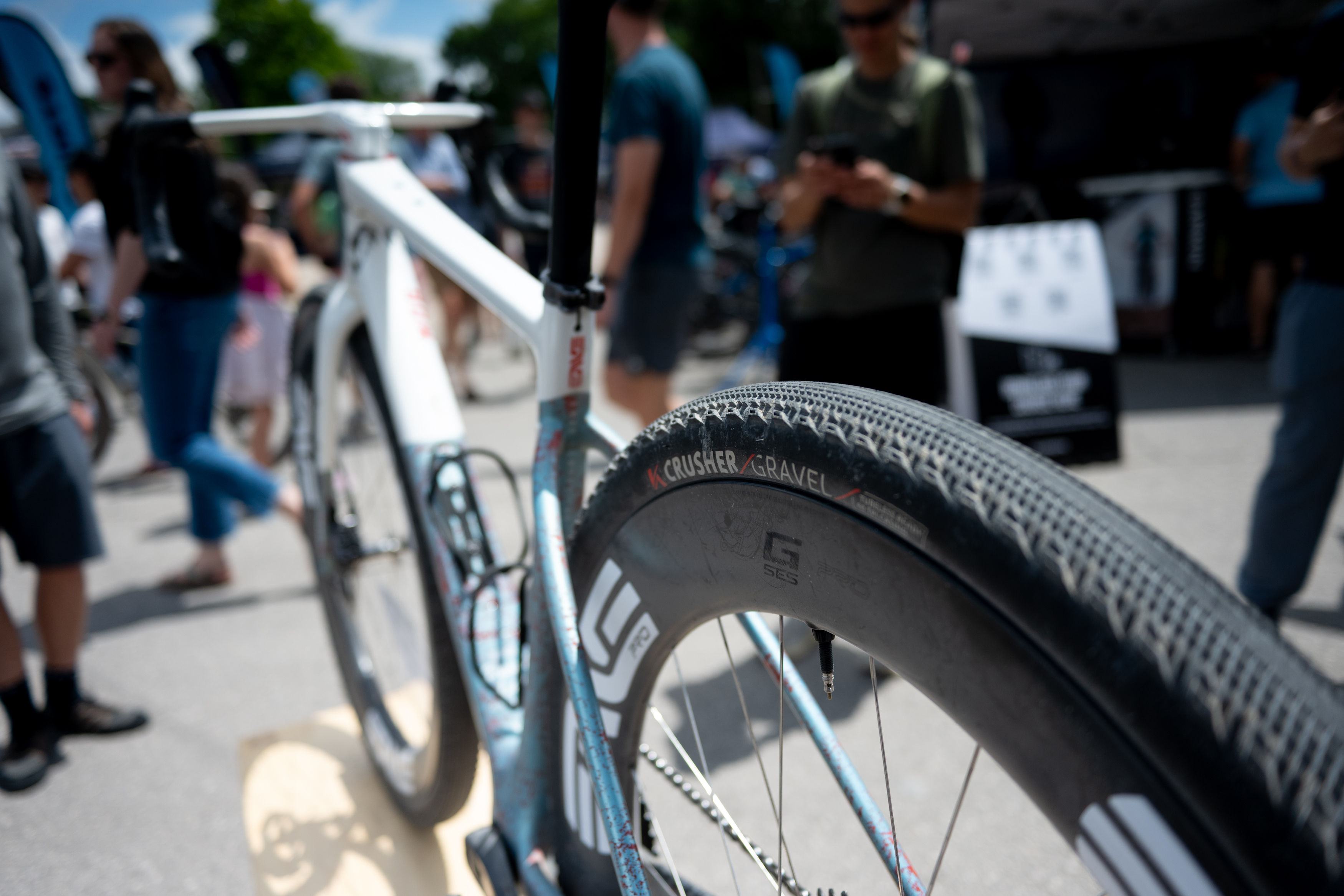 Alexey Vermeulen's custom painted Enve Mog dog bike for Unbound Gravel