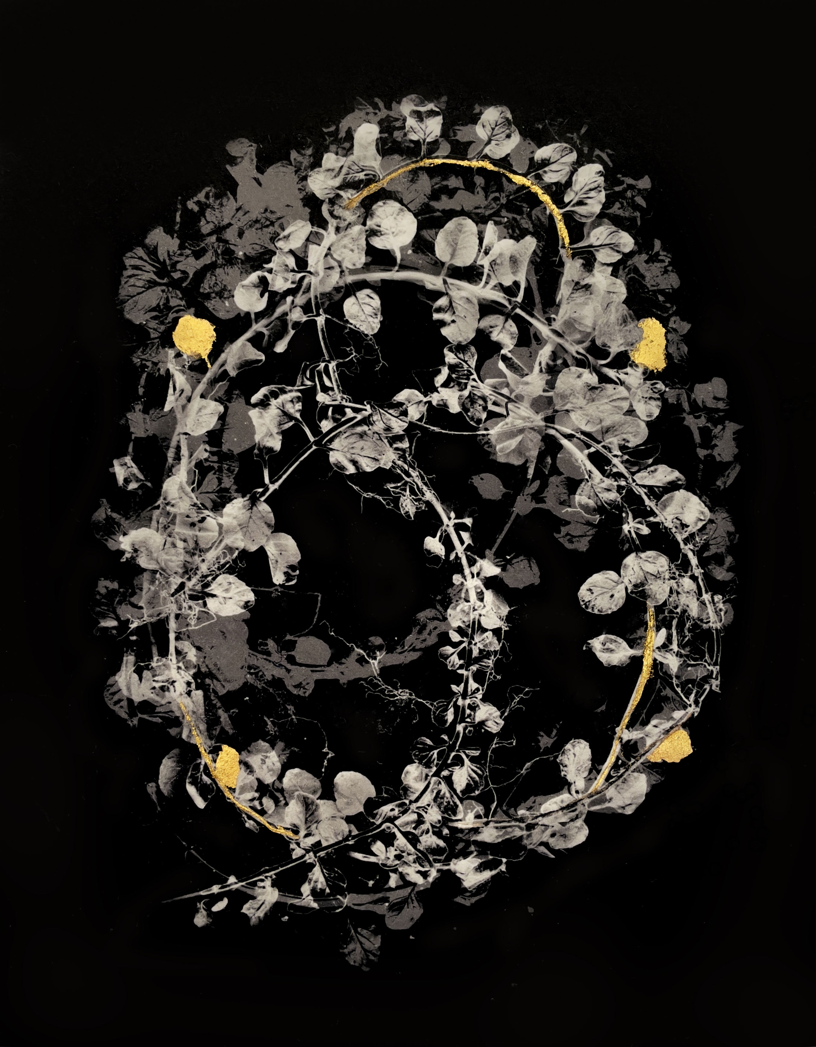 A dense wreath-like arrangement of trailing leaves and stems forms an oval against black, threaded with lines and spots of gold.