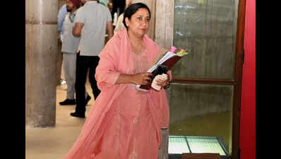 Rs 305cr released under pension scheme for widowed and destitute women: Minister
