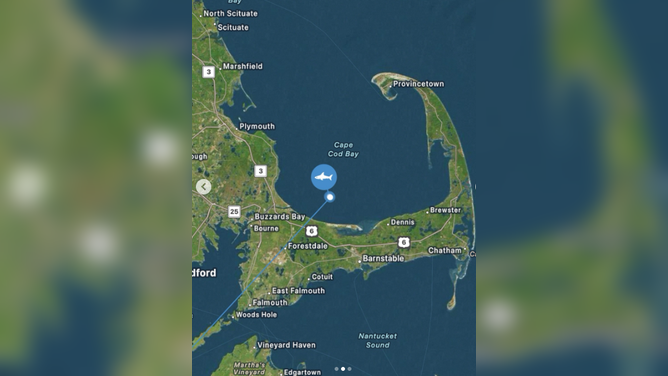 OCEARCH's great white shark Quint reaches Cape Cod in a recent ping.