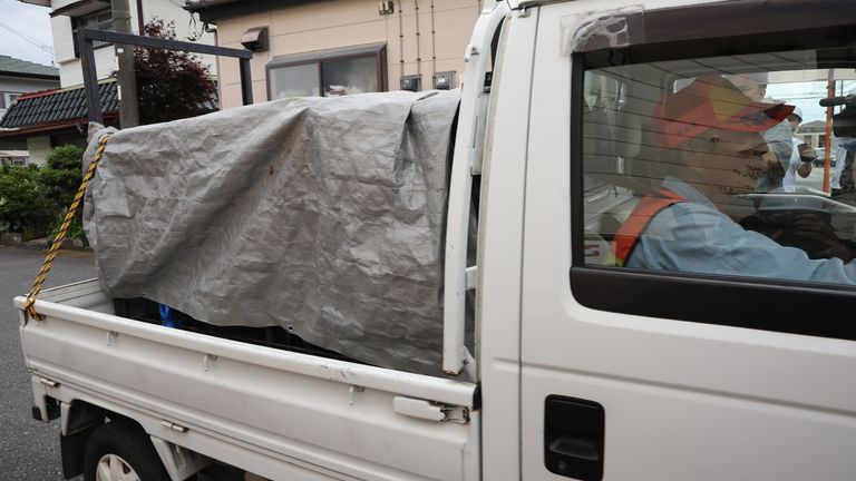 The bear is transported after being tranquillised. Pic: AP