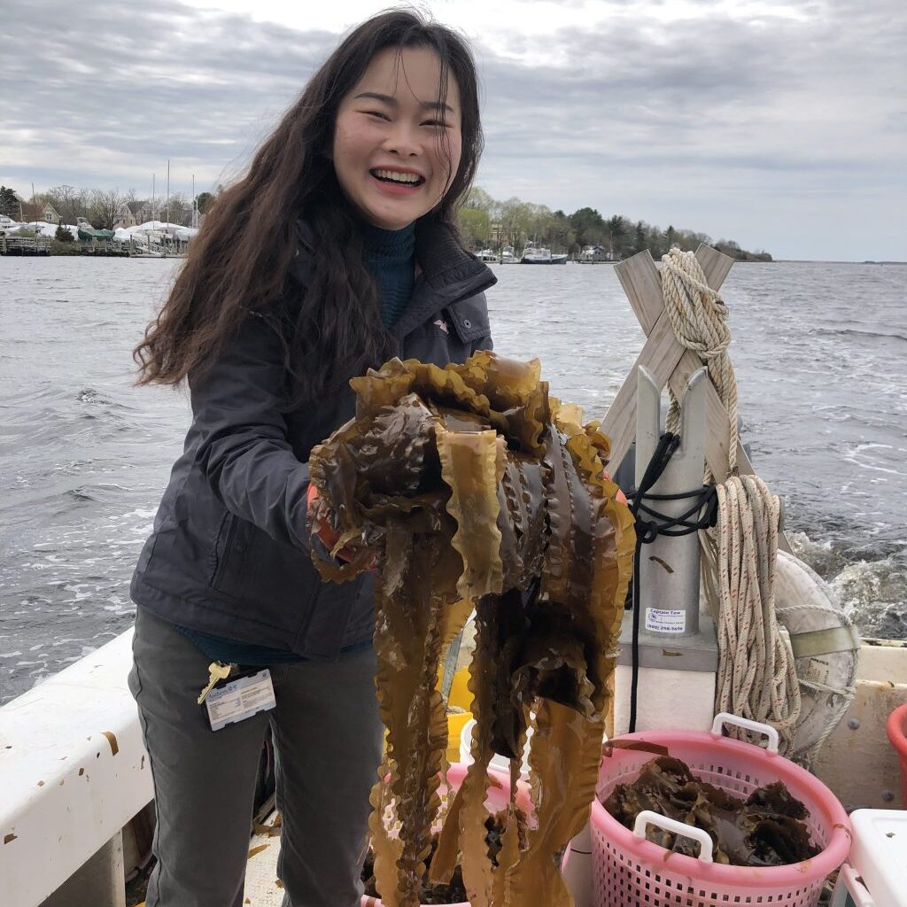 400M tons of plastic generated yearly. UConn grad hopes to change it