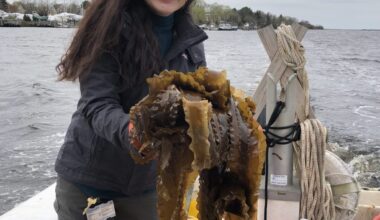 400M tons of plastic generated yearly. UConn grad hopes to change it