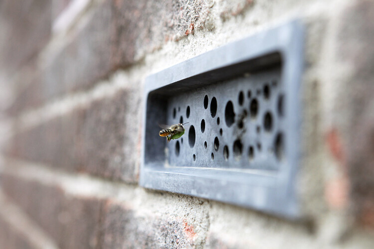 Transspecies Architecture: ArchDaily’s June Editorial Focus - Image 2 of 8