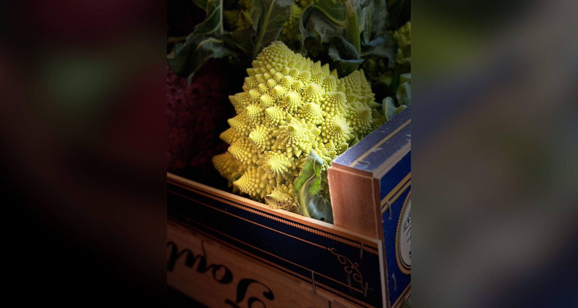 8-year-old wins top prize in world's leading food photography competition with smartphone shot