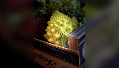 8-year-old wins top prize in world's leading food photography competition with smartphone shot