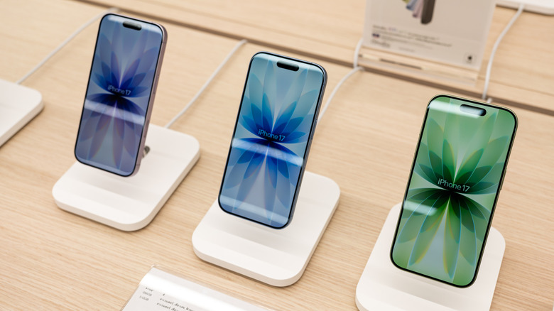 The standard iPhone 17 on display.