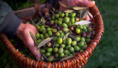 Savills Blog | Why tomorrow’s table offers UK farmers food for thought