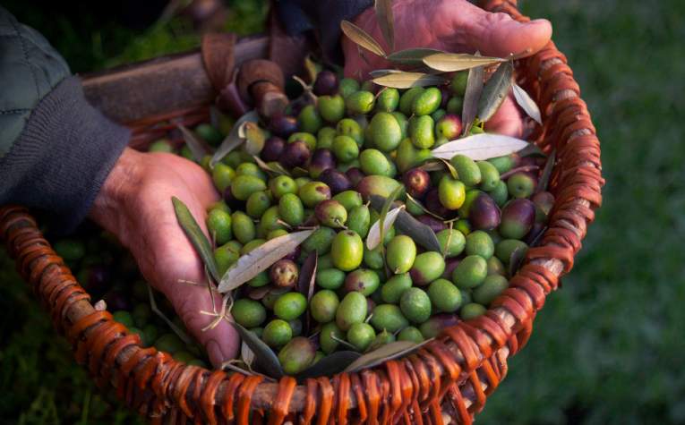 Savills Blog | Why tomorrow’s table offers UK farmers food for thought