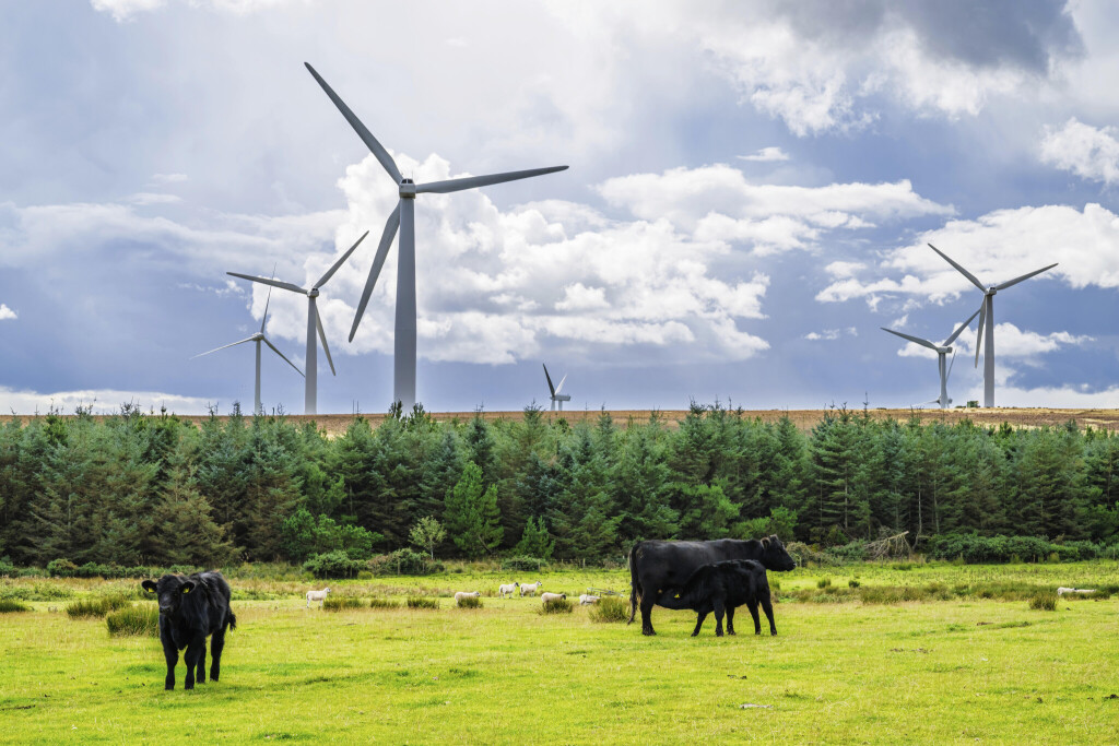 Windpark im Südosten Schottlands, Großbritannien