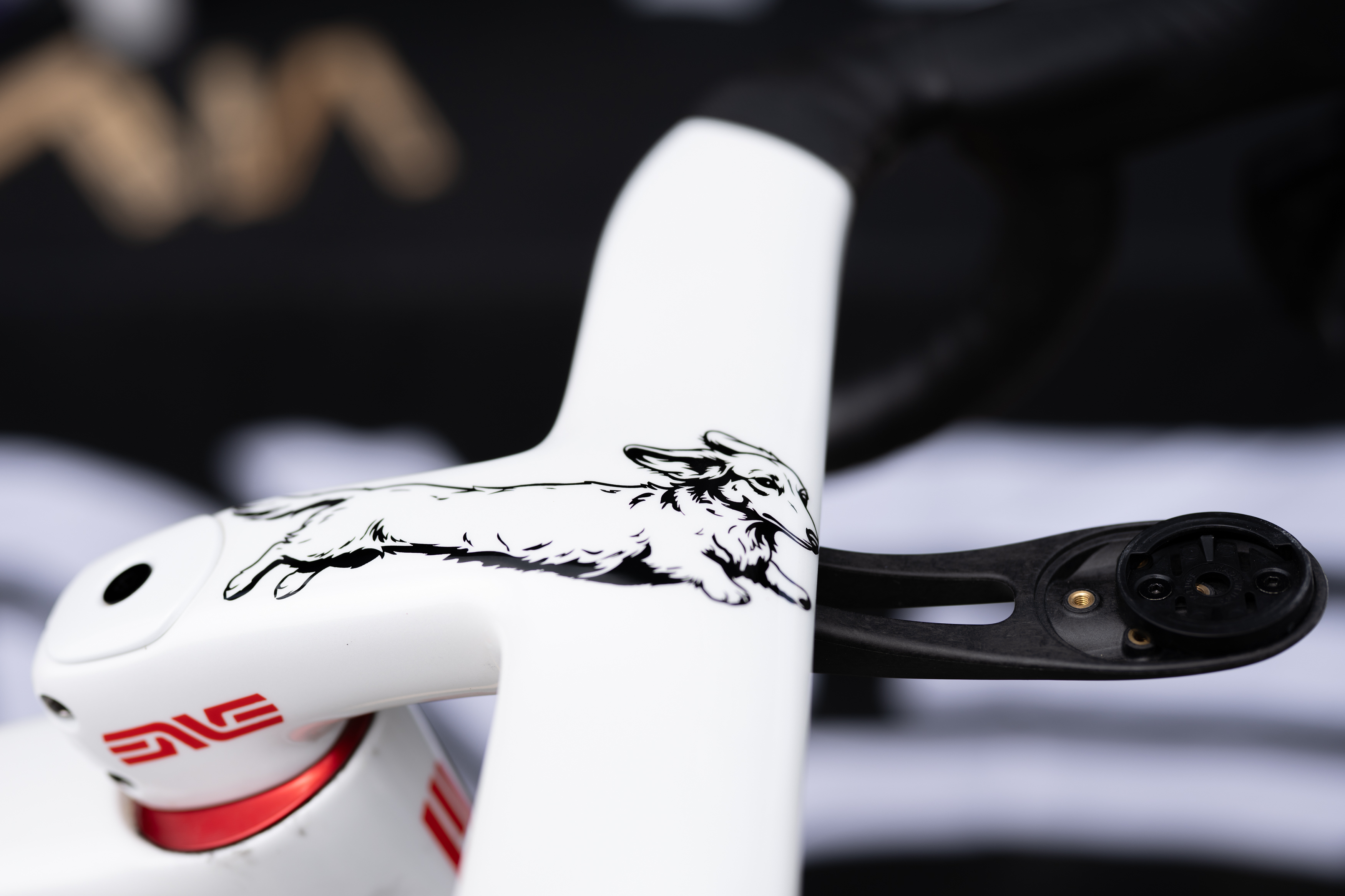 Alexey Vermeulen's custom painted Enve Mog dog bike for Unbound Gravel